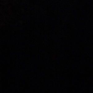 Meet your Posher, Bobby